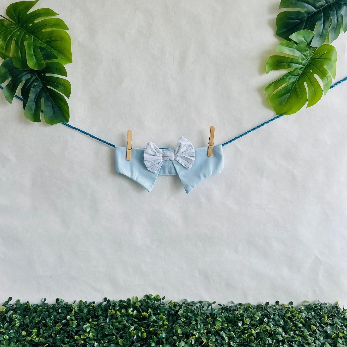 Baby Blue Bow Tie (Medium)