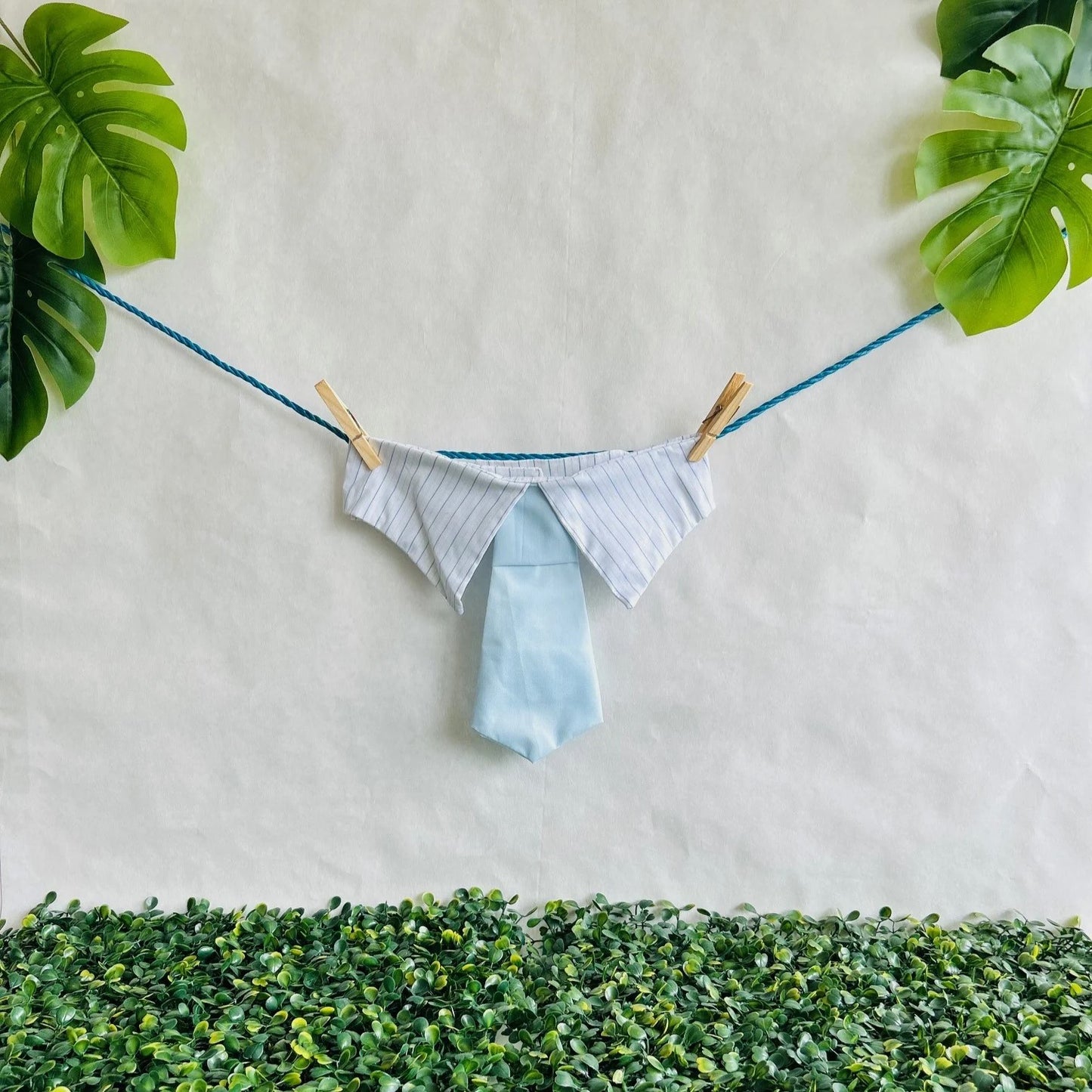 Baby Blue Neck Tie (4XLarge)