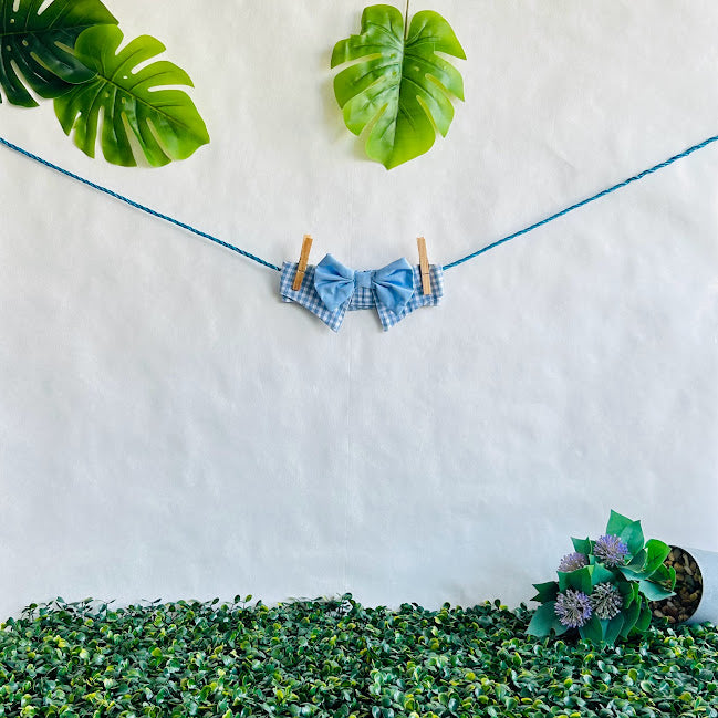 Baby Blue Square Bow Tie (3XLarge)