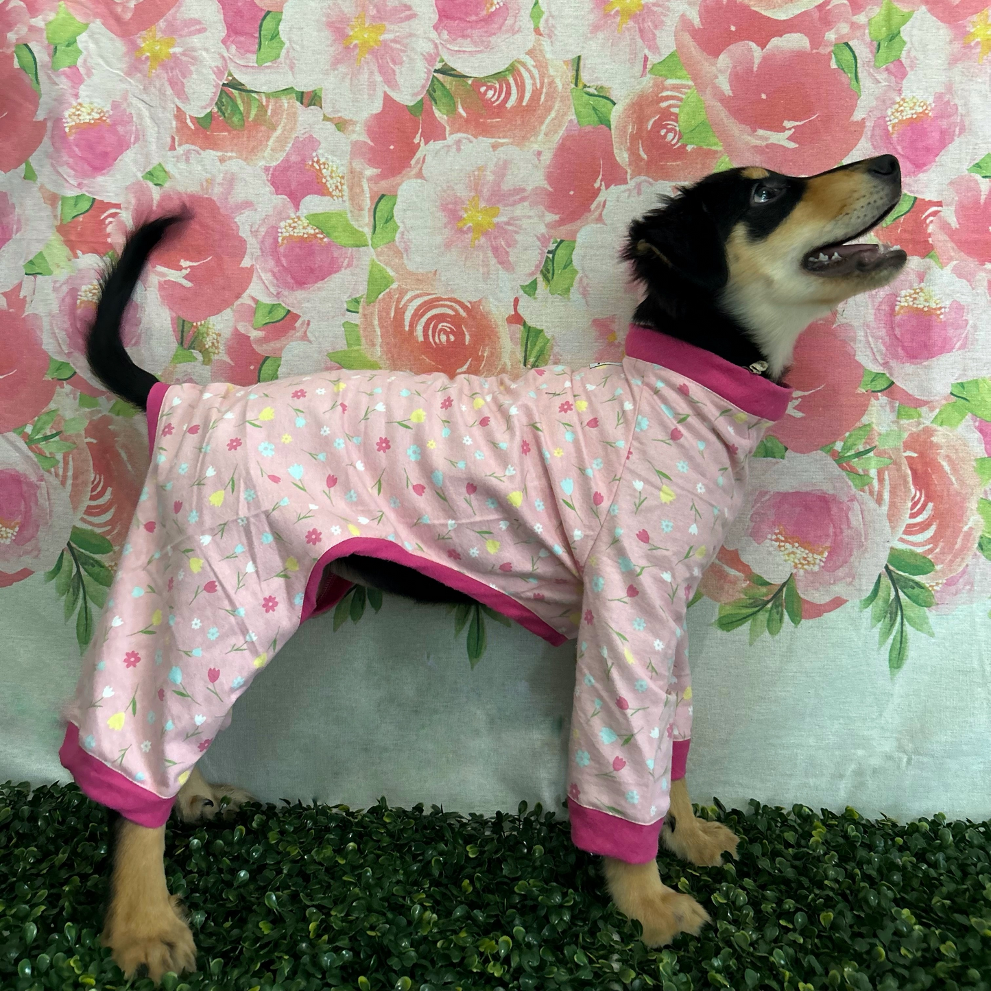 Magenta Tulip Pijama (Medium)