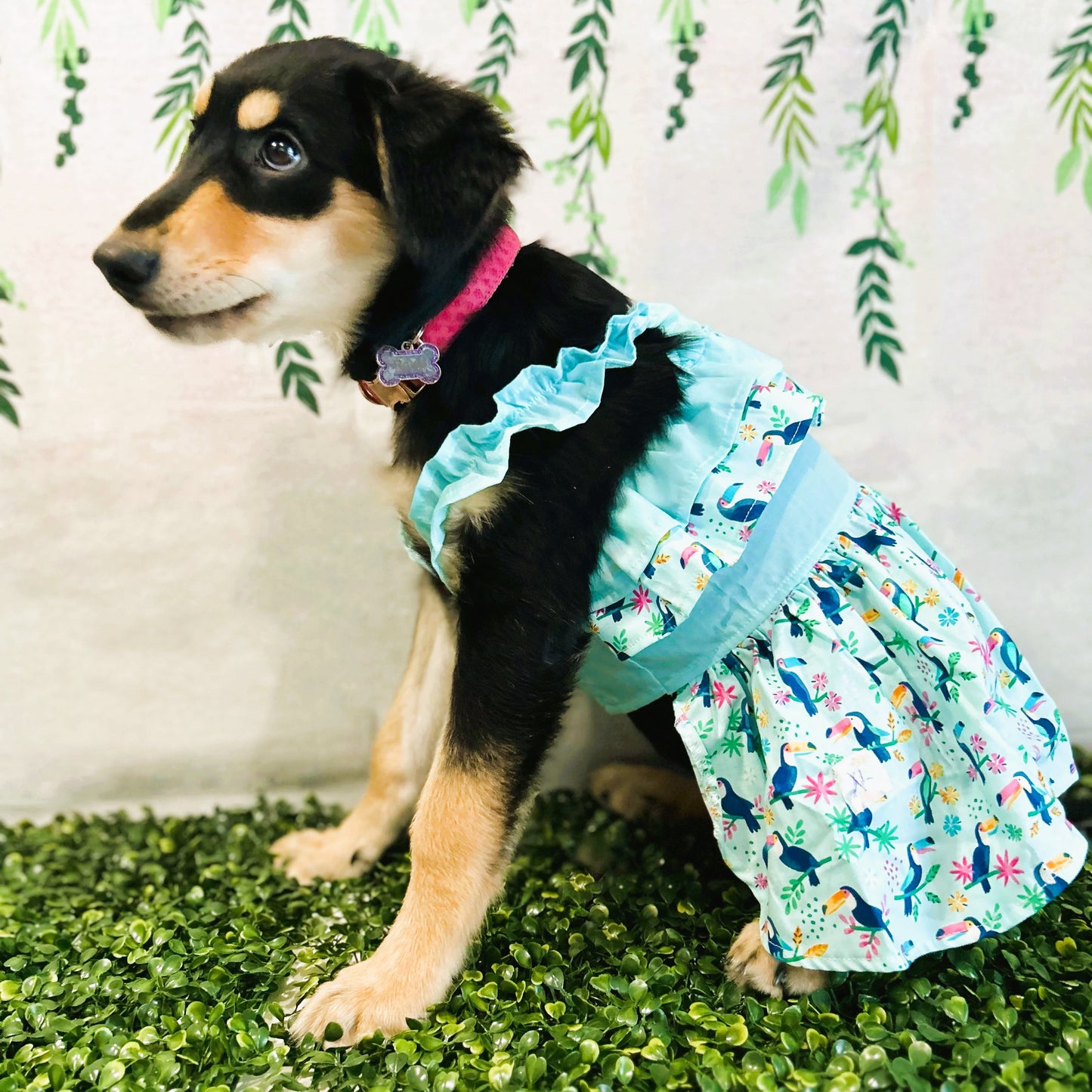 Toucan Tropical Dress (6XLarge)