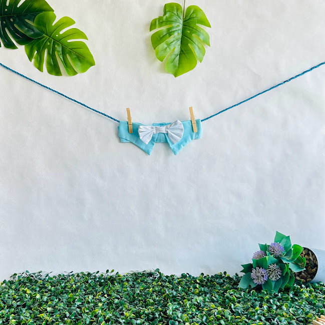 Aqua Bow Tie (Large)