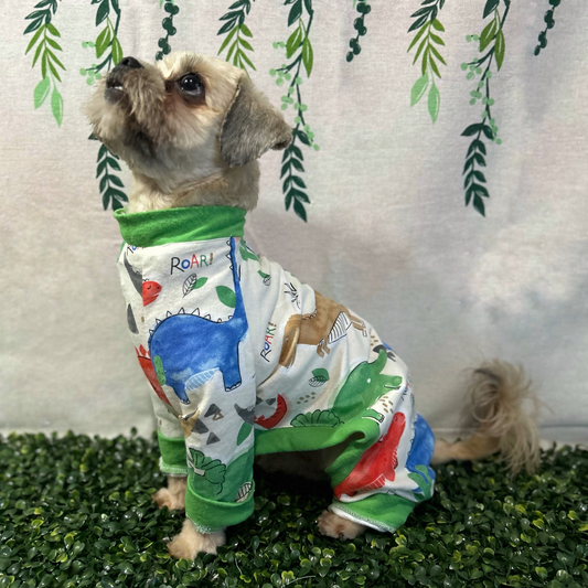 Dinosaurs Pijama
