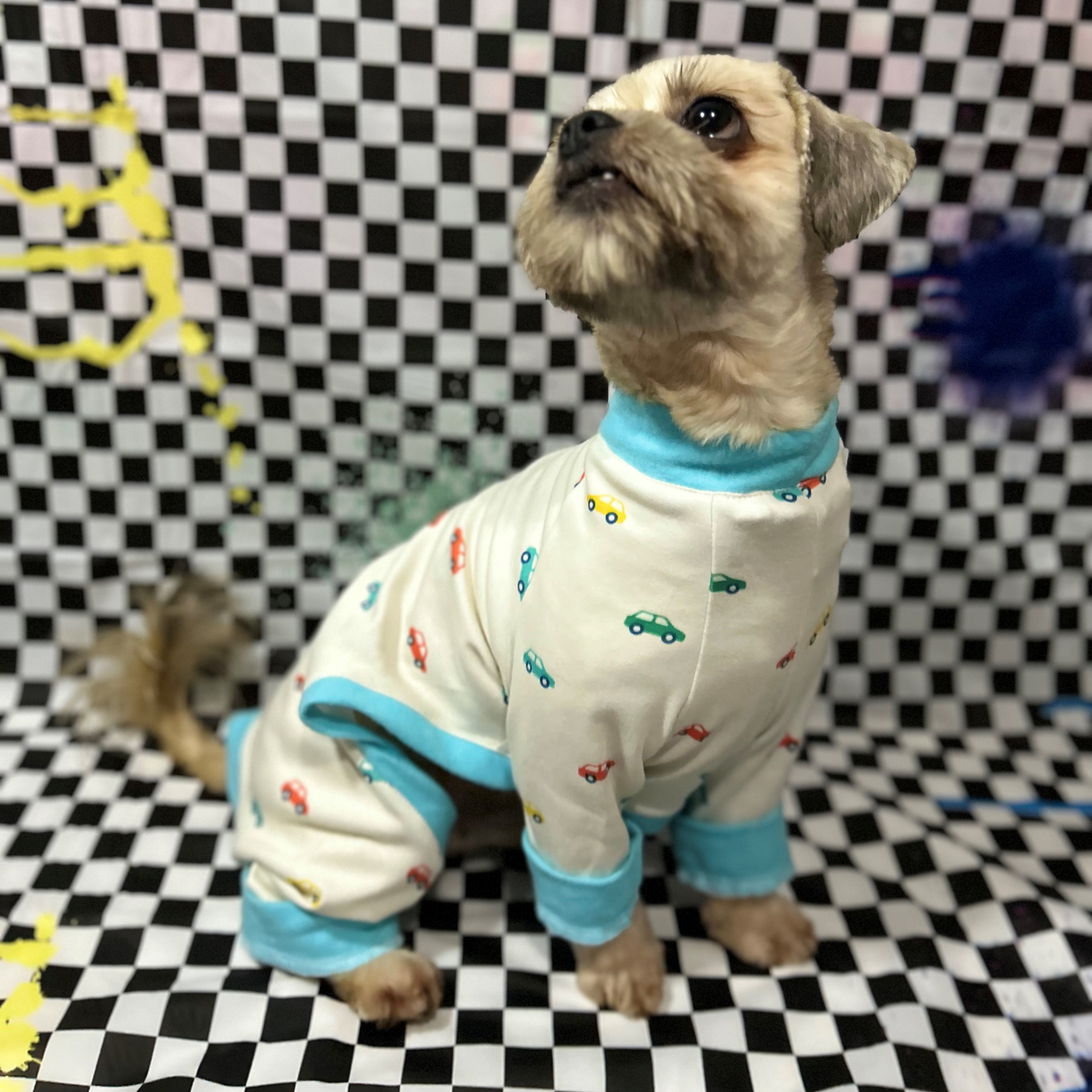 Mini Cars Pijama (2XLarge)