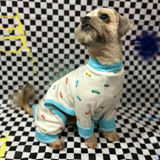 Mini Cars Pijama (2XLarge)