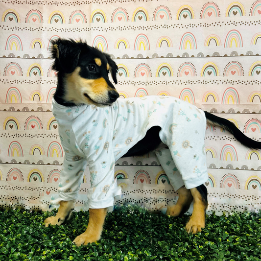 Tiny Rainbow Pijama (3XLarge)