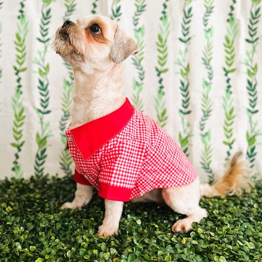 Red Squares Casual Shirt (Small)